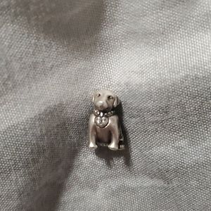 Pandora Bracelet Charm